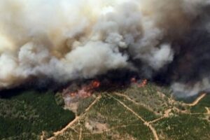 Bushfires, campfire bans, walking in the heat during Birak and Bunuru thumbnail