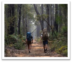 Bibbulmun Track Virtual Hike Challenge: Join the journey! thumbnail