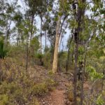 Earliest Perth Hills Realignments Stand the Test of Time thumbnail