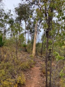 Earliest Perth Hills Realignments Stand the Test of Time thumbnail