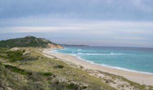 Bibbulmun Track Foundation Secures Grant to Restore Mandalay Beach Section thumbnail