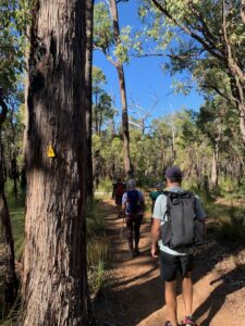 Yoga Harmony Hike thumbnail