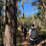 Yoga Harmony Hike thumbnail