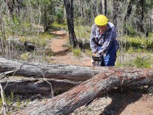 History of the PH14 Realignment, Powerlines South of Mt Cooke thumbnail
