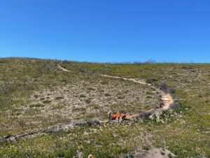Autumn Track Work Brings New Life to South Coast Trails thumbnail
