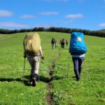 BTF Track User Survey Released! thumbnail