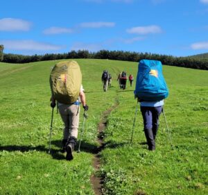BTF Track User Survey Released! thumbnail