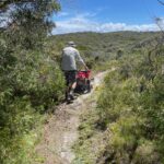 South Coast Volunteers Hard at Work thumbnail