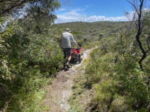 South Coast Volunteers Hard at Work thumbnail
