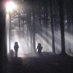 Give the Gift of the Bibbulmun Track — Share the Magic this Season thumbnail