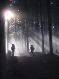 Give the Gift of the Bibbulmun Track — Share the Magic this Season thumbnail