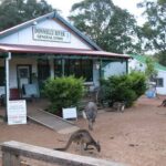 Donnelly Day Walk (1) thumbnail