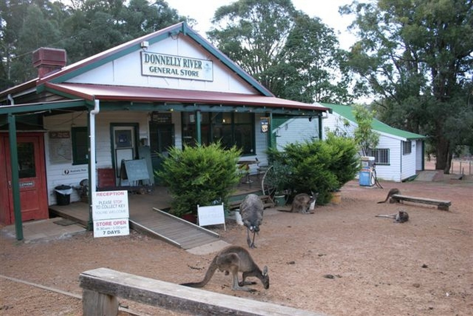 3-Day Guided Walk - Donnelly River to Pemberton