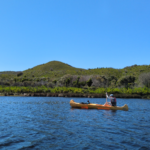 A Walk That Changed the Plan: Eliza on the Bibbulmun Track thumbnail