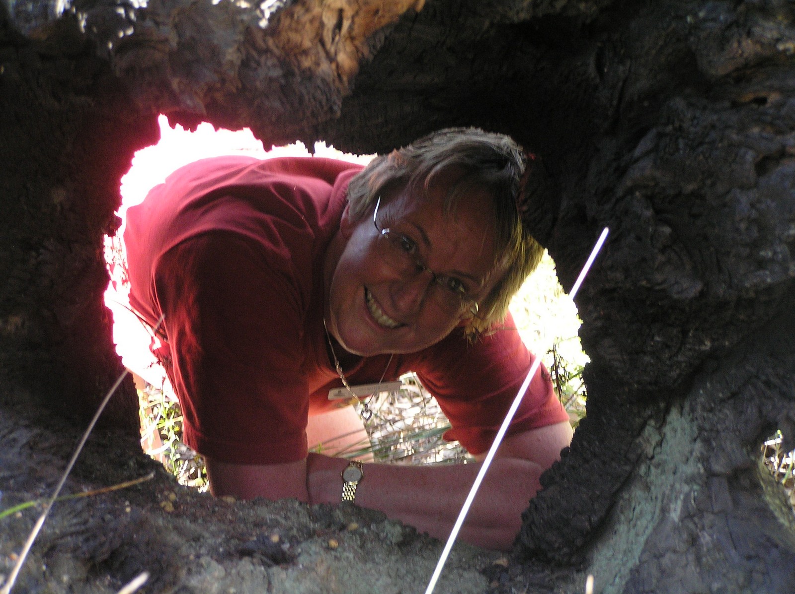 Social Sunday Walk - Trails Hub Cafe to Hewett's Hill