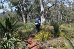 Social Sunday Walk – Dale Rd to Brookton Campsite thumbnail