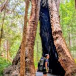 From Bucket List to 1,000km: Fen’s Fenomenal End‑to‑End Journey on the Bibbulmun Track thumbnail
