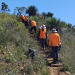 Erosion control targeted at latest Field Day thumbnail